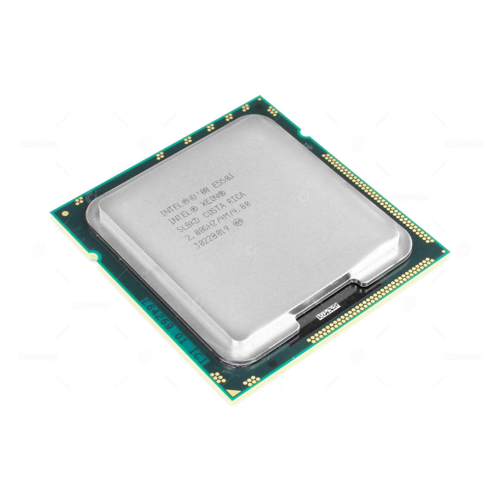 SLBKD INTEL XEON E5503 2CORE 2.00GHZ
