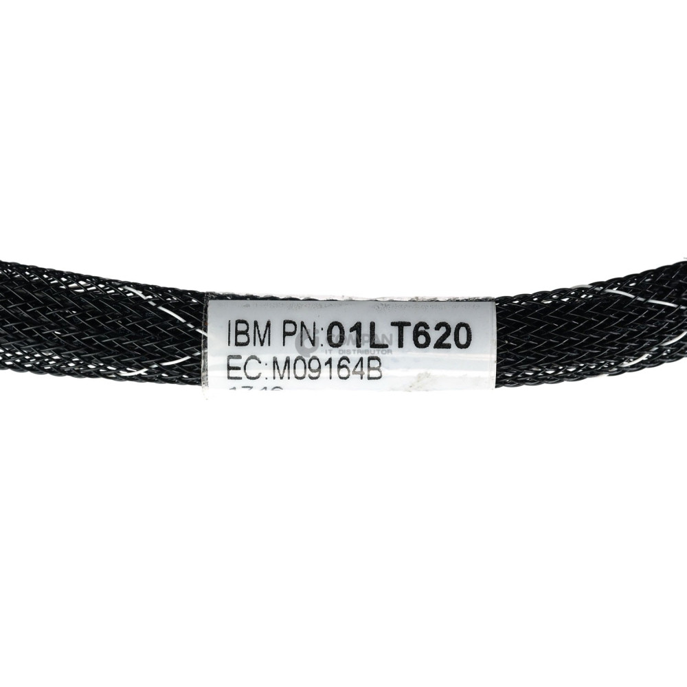01LT620 IBM POWER CABLE FOR DS8880