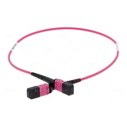 IEC61753-022-2  0.5M  FIBER OPTIC PATCH CORD  MM OM4 50/125 MM12 MPO-MPO 0,5M