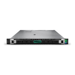 HPE Proliant DL360 G11 8SFF 2x Xeon Gold 6430 128 GB RAM Rails