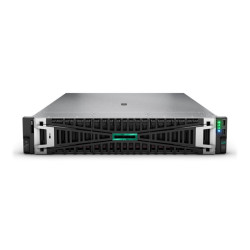 HPE Proliant DL380 G11 8SFF 2x Xeon Silver 4416+ 256 GB RAM Rails