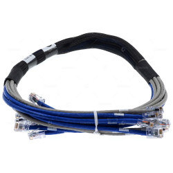 100-580-015 EMC CAT6 UTP 4-NODE CABLE BUNDLE 3FT -